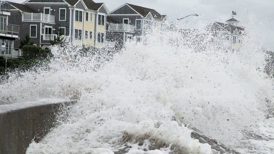 Image Tsunamis, une menace planétaire