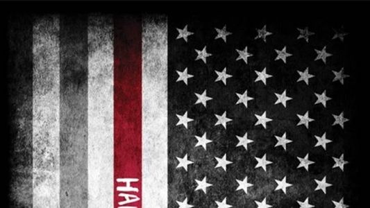 Hanson: Re Made In America