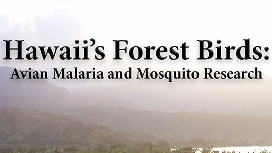Image Hawaii's Forest Birds: Avian Malaria and Mosquito Research
