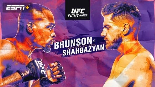 Image UFC Fight Night 173: Brunson vs. Shahbazyan