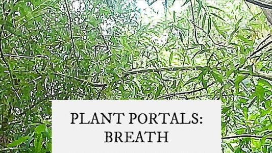 Image plant portals: breath