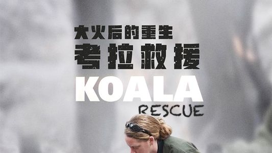 Image Koala Rescue