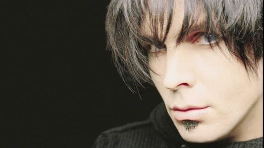 Image Behind the Life of Chris Gaines