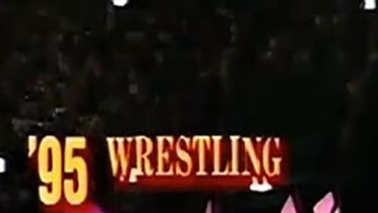 NJPW Wrestling Dontaku 1995