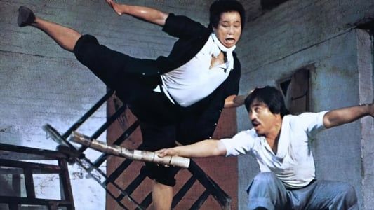 Les 12 secrets du Kung-Fu