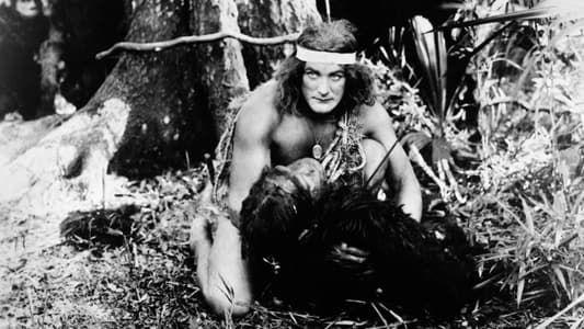 Image Tarzan of the Apes