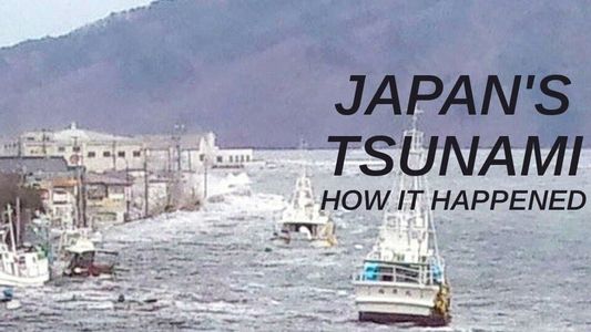 Japan's Tsunami: How It Happened