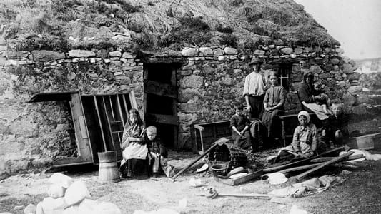 Image La Grande Famine en Irlande