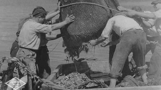 Image Tuna Fishermen