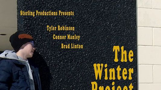 The Winter Project 2017