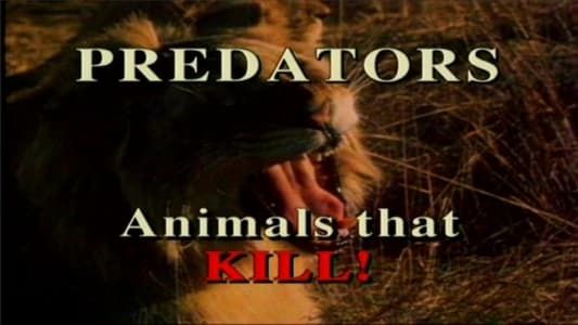 Predators of the Animal World