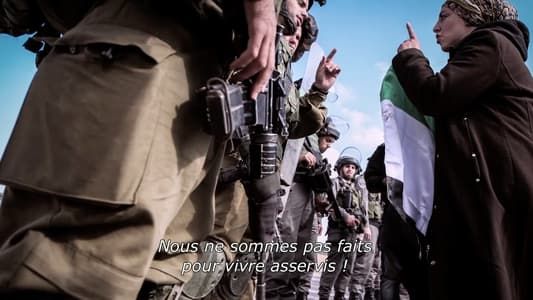 Derrière les fronts : résistances et résiliences en Palestine 2017