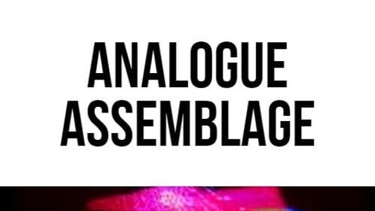Analogue Assemblage