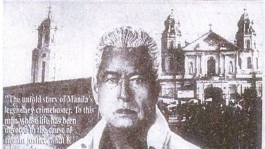 Alfredo Lim: Batas ng Maynila