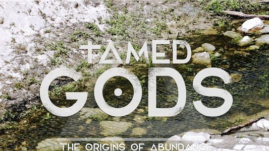 Tamed Gods: The Origins of Abundance
