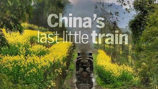 Image China's Last Little Train