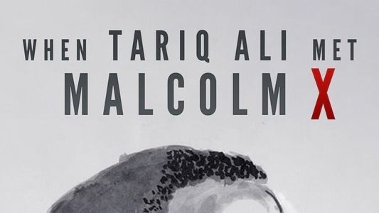 When Tariq Ali Met Malcolm X
