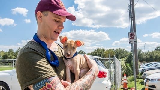 Image Surviving Harvey: Animals After the Storm
