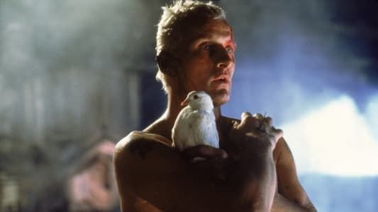Image « Blade Runner » : au-delà de la fiction