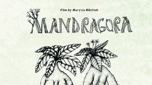 Мандрагора