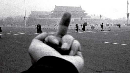 Image Ai Weiwei: Never Sorry