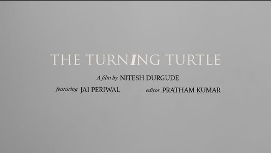 Image The Turning Turtle