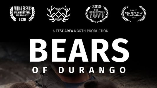 Image Bears of Durango