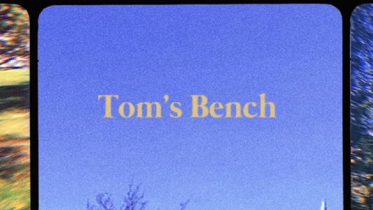 Tom's Bench