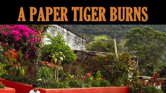 A Paper Tiger Burns