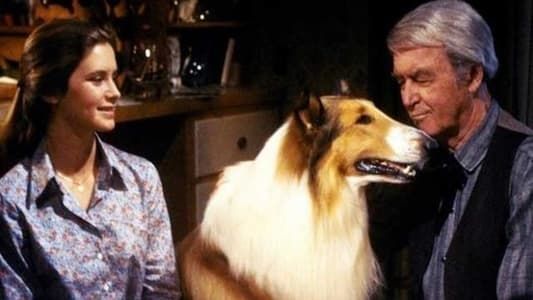 Image The Magic of Lassie