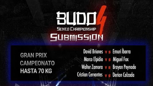 Image Budo Sento Championship 4