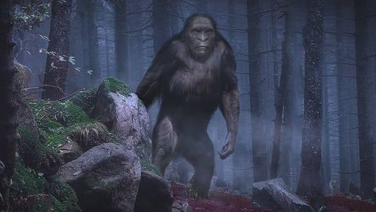 Image On the Trail of Bigfoot: The Discovery
