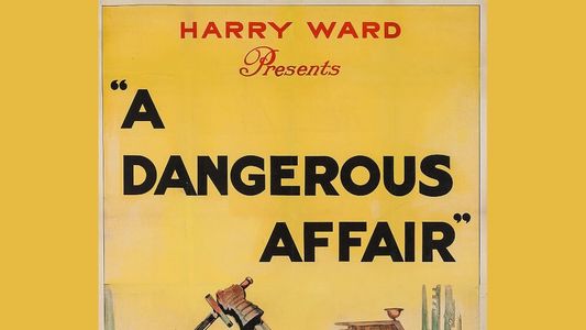 A Dangerous Affair
