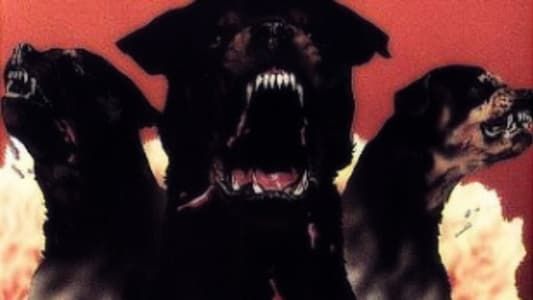 Image Rottweiller : les chiens de l'Enfer