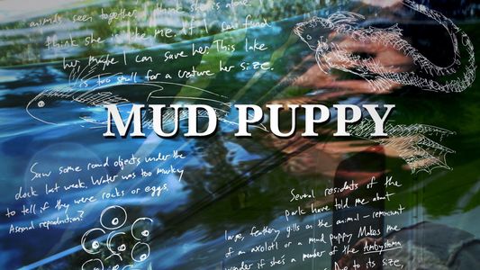 Mud Puppy