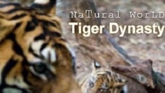 Tiger Dynasty