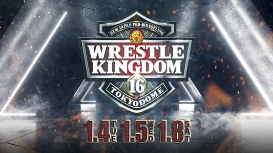 Image NJPW Wrestle Kingdom 16: Night 2