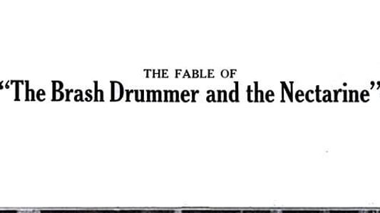 The Fable of the Brash Drummer and the Nectarine