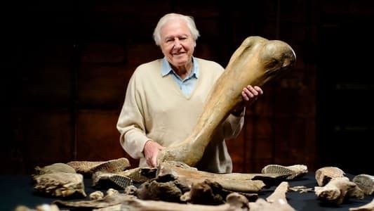 Image Attenborough and the Mammoth Graveyard