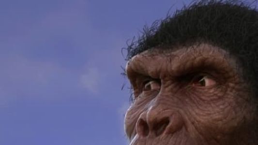 Image Evolution from ape to man
