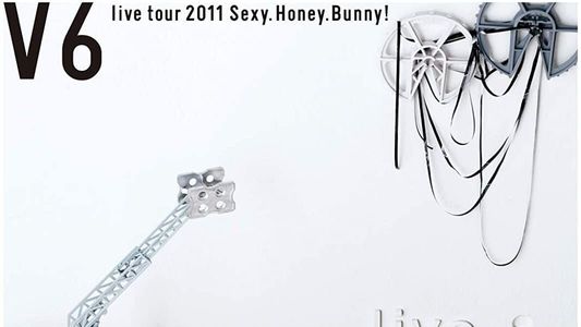 V6 live tour 2011 Sexy.Honey.Bunny!