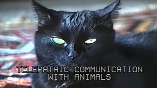 Image Telepathic Communication With Animals