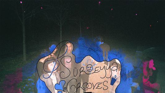 Image Sureyya Grooves