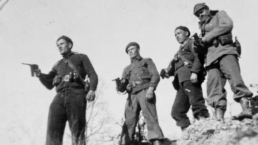 Image To My Son in Spain: Finnish Canadians in the Spanish Civil War
