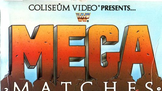 WWE Mega Matches