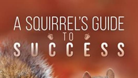 Image A Squirrel's Guide to Success
