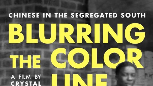 Blurring the Color Line: Chinese in the Segregated South