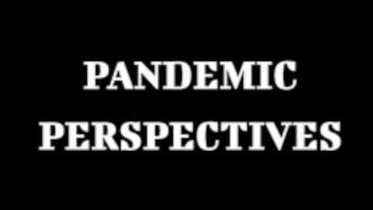 Image Pandemic Perspectives