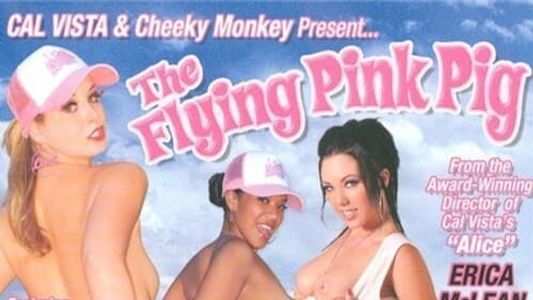 The Flying Pink Pig