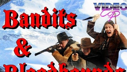 Video Cop: Bandits & Bloodhounds